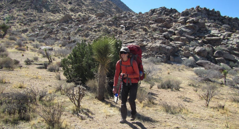 A person wearing a backpack poses near a joshua tree. 